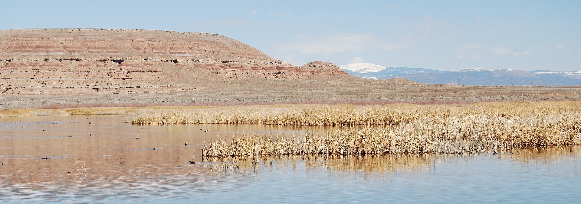 Ouray National Wildlife Refuge, Uintah County — mesa, marsh, Uinta Mountains